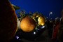 Thumbs/tn_Bloemencorso 2015 209.jpg